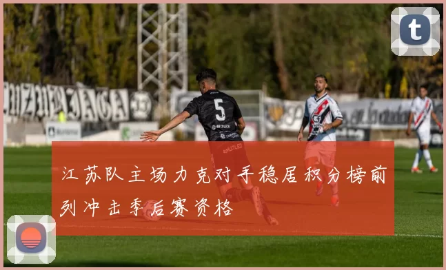 江苏队主场力克对手稳居积分榜前列冲击季后赛资格